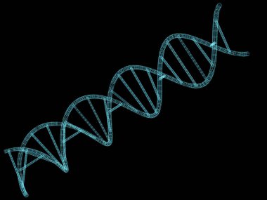 DNA sarmal bilgisayar modeli 3d oluşturma