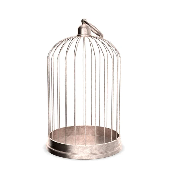 Cage Oiseaux Rendu — Photo