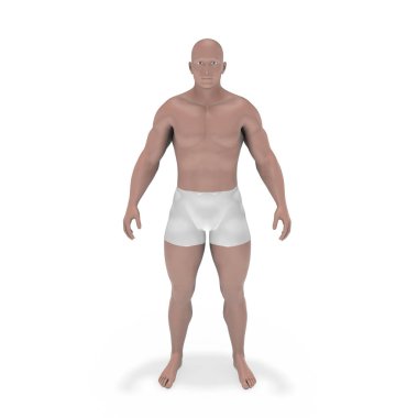 Pantolon giyen adam 3D görüntüleme
