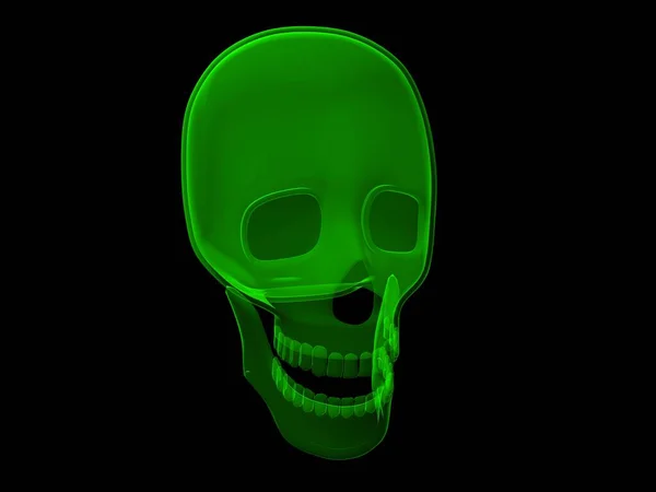 X射线骷髅3D渲染 — 图库照片