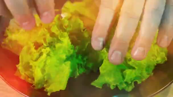 Frischer gemischter Salat im Zeitraffer kochen — Stockvideo