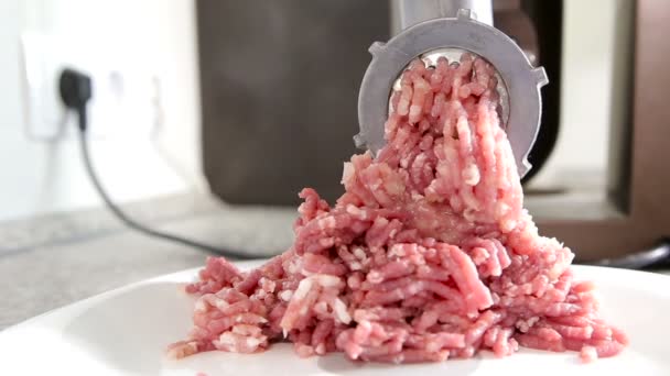 Vleesvulsel voorbereiding in een elektrische vleesmolen. — Stockvideo