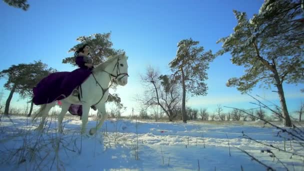 Joven hembra sentada en el caballo blanco al aire libre — Vídeo de stock