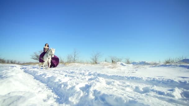 Mladá žena sedí na bílém koni venkovní — Stock video