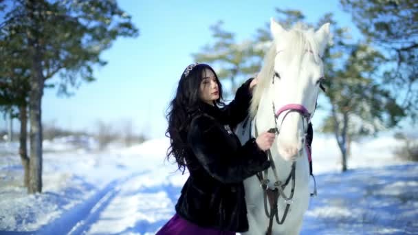 Beautiful young woman stroking a horse — Stock Video