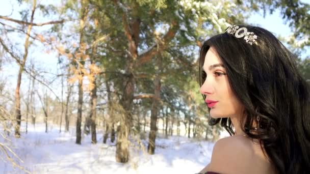 Beautiful young girl in winter forest — Stock Video