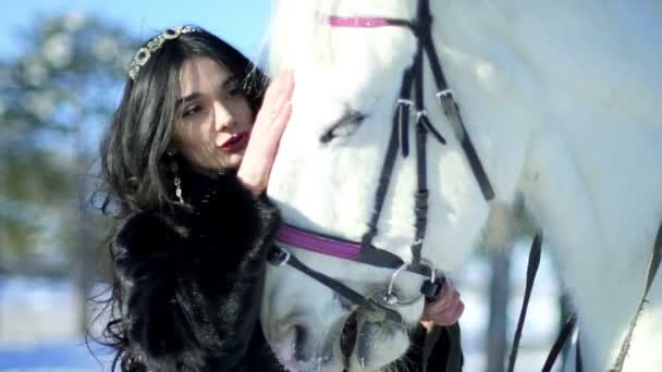 Hermosa joven acariciando un caballo — Vídeo de stock