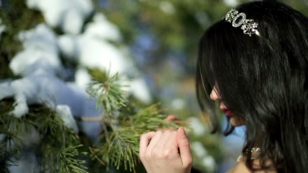 Hermosa joven en el bosque de invierno — Vídeos de Stock