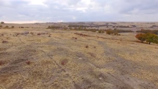 Mooie vlucht over de steppe. Luchtfoto — Stockvideo