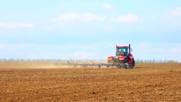 Фермер в тракторі і птахи готують землю для посіву. Вид ззаду 4K, UHD — стокове відео