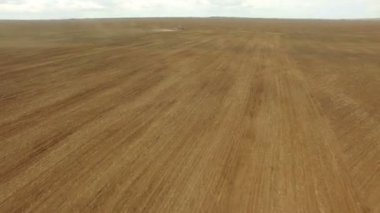 Ekim için tarım arazi hazırlama traktör çiftçi iş çiftçilik karada güçlü bir traktör. hava atış, alan Mısır