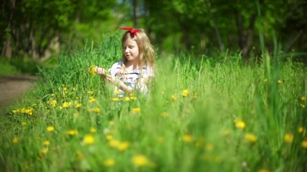 Küçük kız Dandelions güneşli bir çayırda toplama. — Stok video