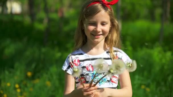 Brincando com flores de dente de leão no prado no parque — Vídeo de Stock