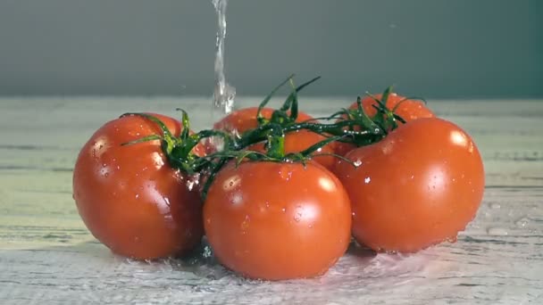 Всплеск воды на помидорах — стоковое видео