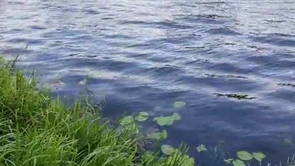 Dynamiczny Kojący Ruch Powierzchni Wody Naturalnym Zbiorniku Wodnym — Wideo stockowe