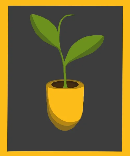 Ένα Νεαρό Βλαστάρι Από Ένα Φυτό Μια Κίτρινη Γλάστρα Γκρι — Φωτογραφία Αρχείου