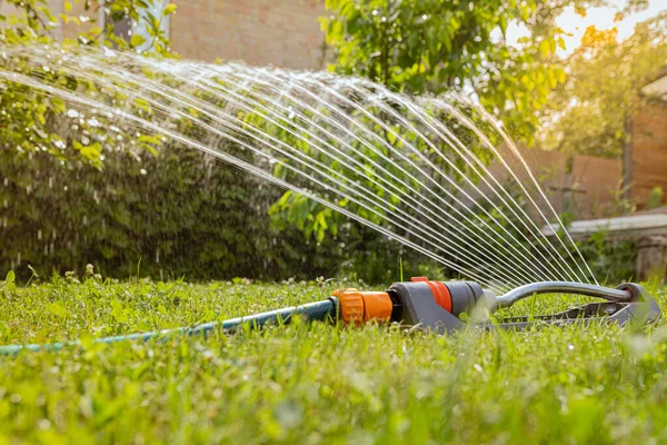 Garden Sprinkler Green Lawn Watering Garden Blurred Background Country House — Stock Photo, Image
