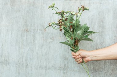 Bir adamın eli buketi tutar ve inciri gösterir. Beklenmedik bir hediye, hoş olmayan bir sürpriz, yanlış zamanda sunulan çiçekler.