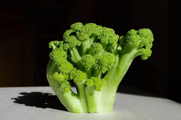 Broccoli Con Ombra Raggio Luce Chiave Scura — Foto Stock