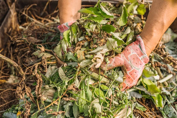 Man Hands Raking Compost Pile Backyard Shows Enriched Soil — Stock Photo, Image