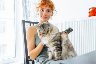 Genç bir kadın evcil kediyle vakit geçiriyor, telefon kullanıyor, evcil hayvanlar mırıldanarak gri tüylü kedi