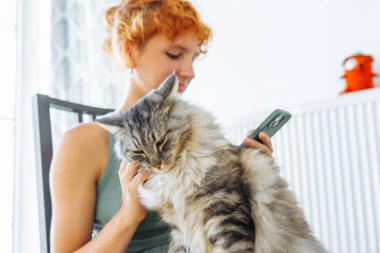 Genç bir kadın evcil kediyle vakit geçiriyor, telefon kullanıyor, evcil hayvanlar mırıldanarak gri tüylü kedi