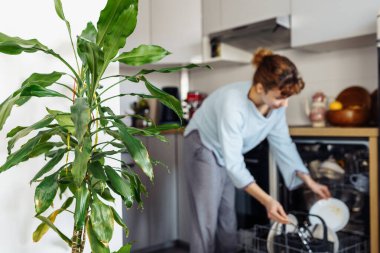 Bulaşık makinesine kirli bulaşık koyan genç bir kadın. Mutfakta ev işi.