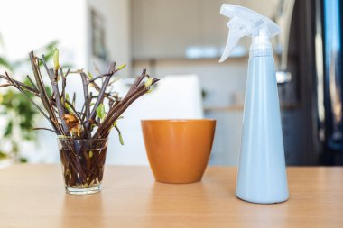 Evde meyve dalları, kesikler, bahçe işleri.