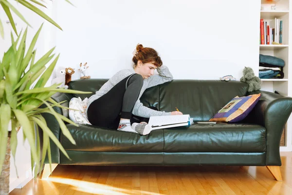 Genç kadın rahat deri koltukta oturur, not defterine not alır, kendi kendine çalışır, evde uzaktan öğrenir.