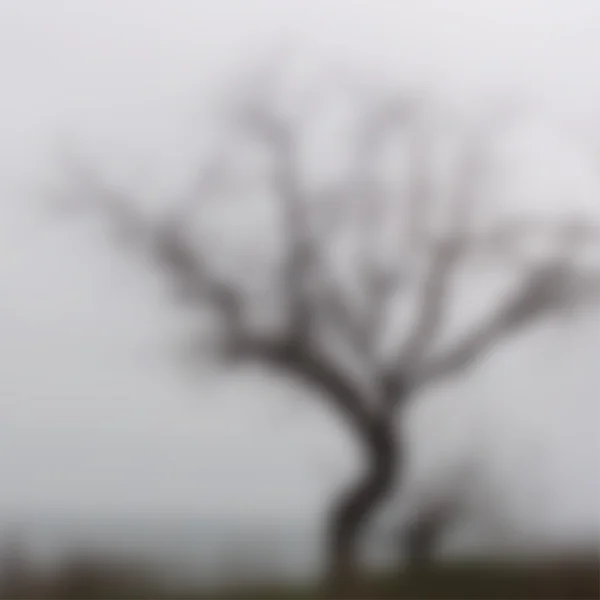 Абстрактный размытый фон с деревом — стоковый вектор