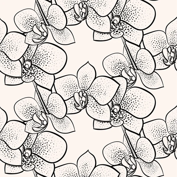 Illustrazione floreale con orchidee . — Vettoriale Stock