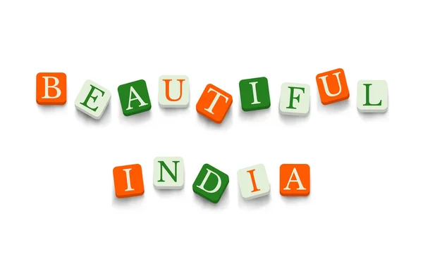 Beautiful India with colorful blocks — Stockový vektor