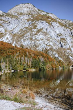 Güzel dağların manzarası ve mavi gökyüzü ile Bohinj Gölü