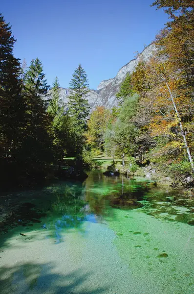 Vistas Panorámicas Del Hermoso Paisaje Las Montañas Lago Bohinj Con — Foto de Stock