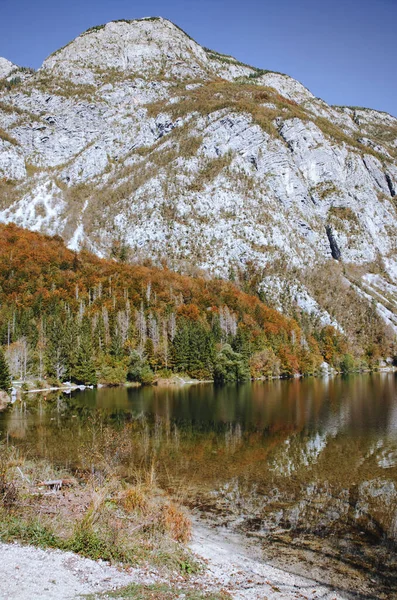 Scenic Näkymä Kauniille Vuorille Maiseman Bohinj Järven Sininen Taivas — kuvapankkivalokuva