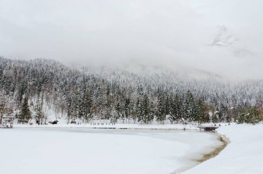 Slovenya 'nın Alpler kentinde karla kaplı ağaçlar ve dağ nehrinin manzarası. Doğa konseptinin güzelliği.