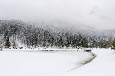Slovenya 'nın Alpler kentinde kar kaplı ağaçlarla kaplı kış manzarası. Doğa konseptinin güzelliği.