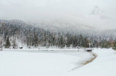 Slovenya 'nın Alpler kentinde kar kaplı ağaçlarla kaplı kış manzarası. Doğa konseptinin güzelliği.