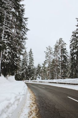 Slovenya 'nın Alpler kentinde kar kaplı ağaçlarla kaplı kış manzarası. Doğa konseptinin güzelliği.