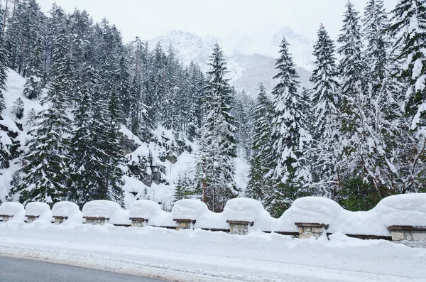 Szenische Ansicht Der Winterlandschaft Mit Schneebedeckten Bäumen Den Alpen Slowenien — Stockfoto