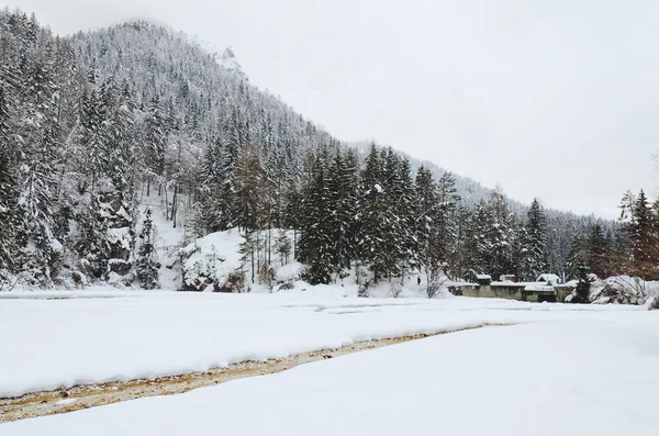 Vistas Panorámicas Del Paisaje Invernal Con Árboles Cubiertos Nieve Río — Foto de Stock