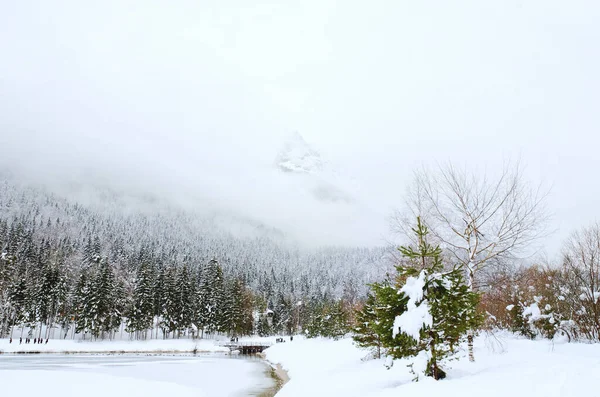 Vistas Panorámicas Del Paisaje Invernal Con Árboles Cubiertos Nieve Río — Foto de Stock