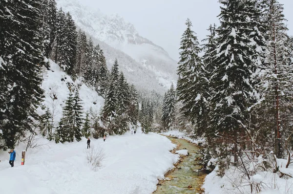 Vistas Panorámicas Del Paisaje Invernal Con Árboles Cubiertos Nieve Río — Foto de Stock