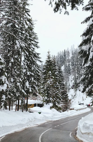 Vistas Panorámicas Del Paisaje Invernal Con Árboles Cubiertos Nieve Los — Foto de Stock