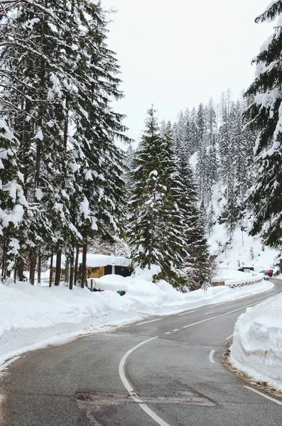Vistas Panorámicas Del Paisaje Invernal Con Árboles Cubiertos Nieve Los —  Fotos de Stock