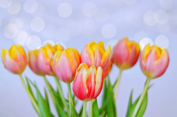 Draufsicht Auf Schöne Rosa Gelbe Tulpen Auf Blauem Hintergrund Mit — Stockfoto