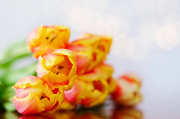 Draufsicht Auf Schöne Rosa Gelbe Tulpen Auf Weißem Hintergrund Mit — Stockfoto