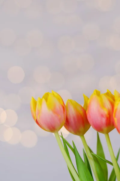 Ovanifrån Vackra Rosa Gula Tulpaner Blå Bakgrund Med Bokeh Gratulationskort — Stockfoto