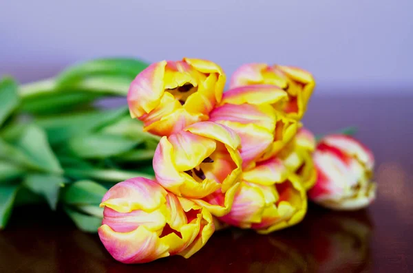 Vue Dessus Belles Tulipes Roses Jaunes Sur Fond Bleu Avec — Photo