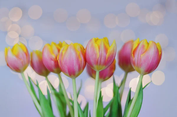 Ovanifrån Vackra Rosa Gula Tulpaner Blå Bakgrund Med Bokeh Gratulationskort — Stockfoto